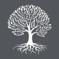Amplify Logo - grey background with white tree growing roots