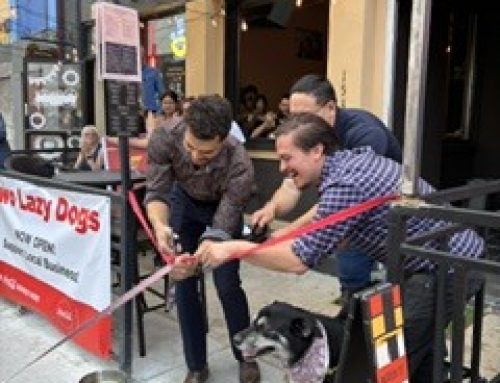 Two Lazy Dogs Grand Opening
